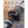 Подушка под кабину Scania R440 458663 DC13 задняя неориг. SEM (097), 