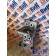 Кронштейн бампера DAF 105 980586 RH (008), 1735003