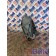 Кронштейн полукрыла DAF 105 823945 LH алюм. (018), 