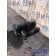 Рулевой редуктор (ГУР) DAF 105 980586 TRW (025), 1444788