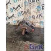 Цапфа (кулак поворотный) DAF 105 980586 RH (048)