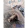 Цапфа (кулак поворотный) DAF 105 980586 RH (048), 0964082