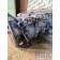 АКПП GRS905R Scania G440 181363 с ретардой (222), 2099587
