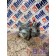 Насос ГУРа MAN TGA 086712 D2066 LF03 (825), 81471016136