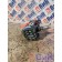 Топливный насос низкого давления (ТННД) MAN D2066 TGA LF03 086712 (875), 0440020049
