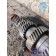 Промежуточный вал (промвал) ZF 16S221TD КАМАЗ 65206-Т5 2511022 (898), 