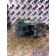 Осушитель APM (АПМ) Volvo FH 4 816611 (035), 22858336