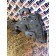 Кронштейн крепления фары Volvo FH 4 816611 RH (125), 84228541