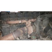 SCANIA R440 (449) 335286